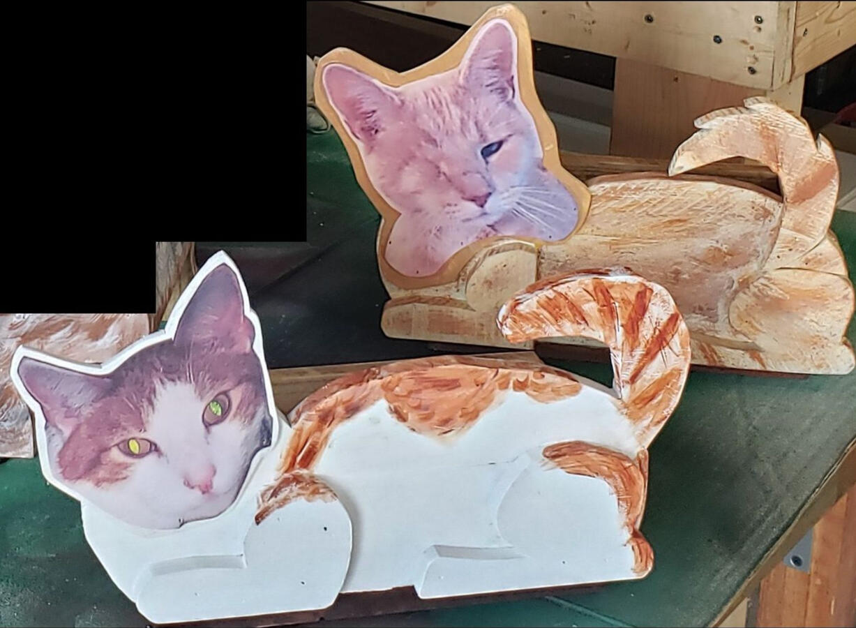 Cat boxes Cat boxes