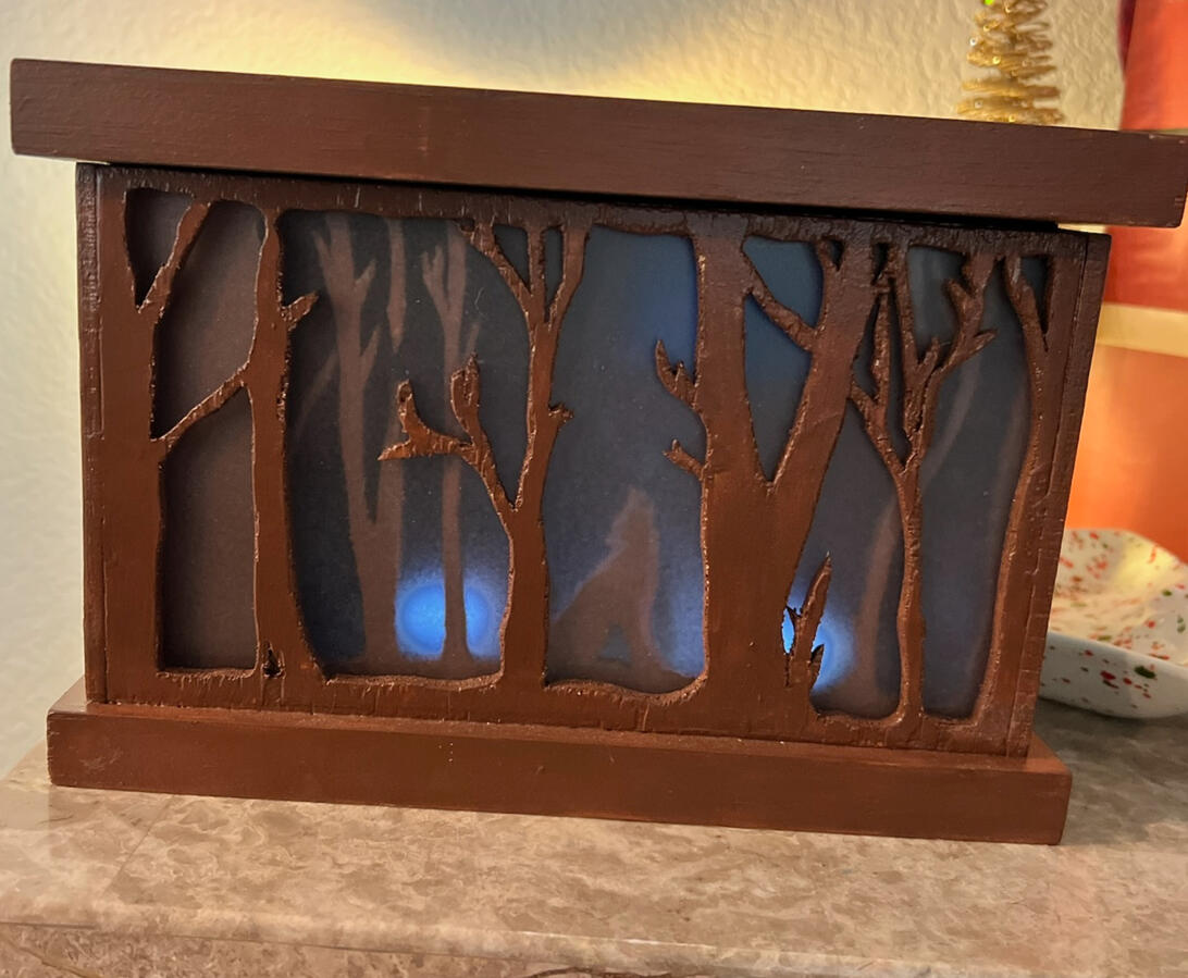 Shadow Box